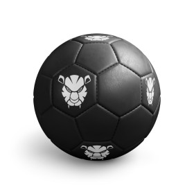 Ballon de Football
